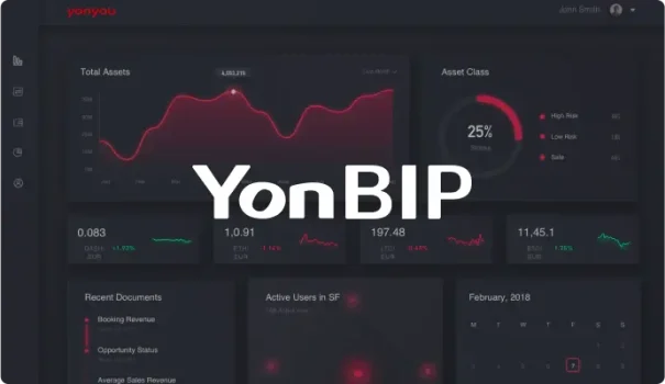 yonbip-advanced